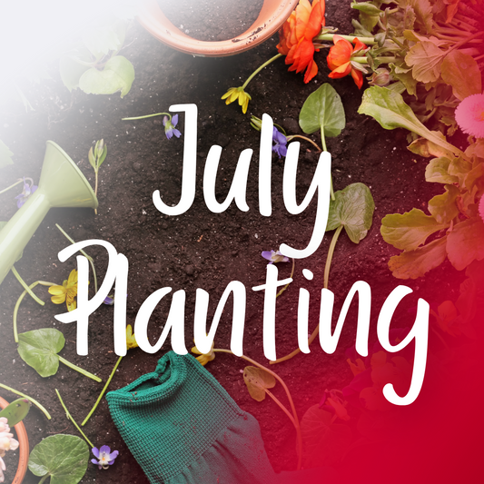 July Gardening