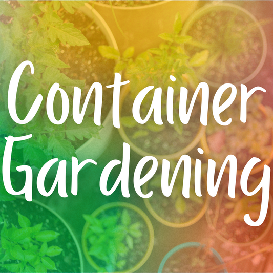 Container Gardening