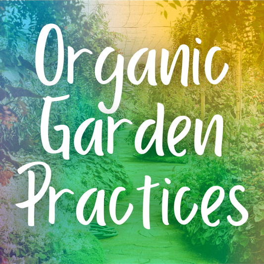 Organic Garden Practices