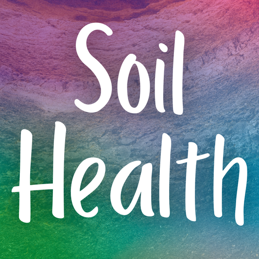 Understanding Soil Health