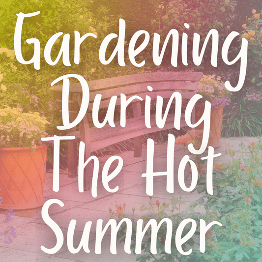 Gardening During the Hot Summer