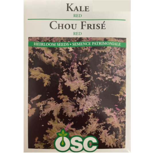 OSC Seeds Kale Red Pkg.