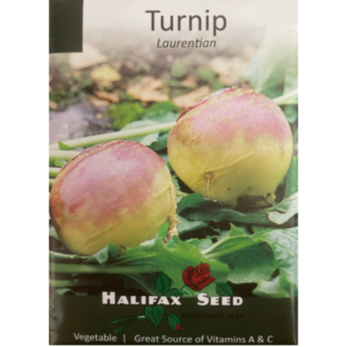 Halifax Seed Turnip Laurentian Pkg.