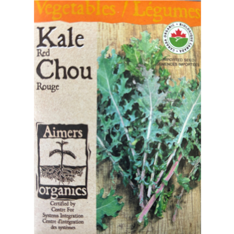 Aimers Organic Kale Red