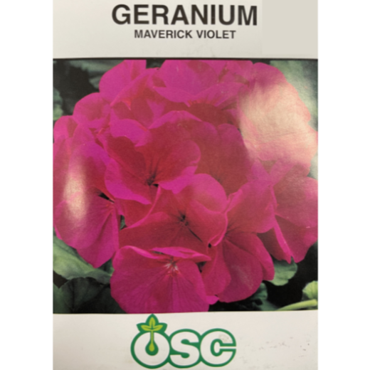 OSC Seeds Geranium Maverick Violet Pkg.