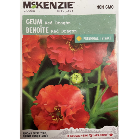 McKenzie Seed Geum Red Dragon Pkg