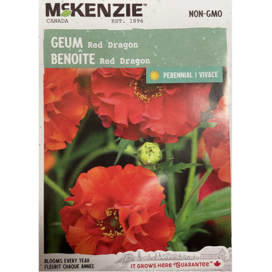 McKenzie Seed Geum Red Dragon Pkg