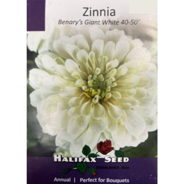 Halifax Seed Zinnia Benary's Giant White Pkg.