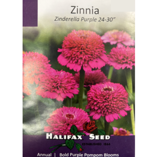 Halifax Seed Zinnia Zinderella Purple Pkg.