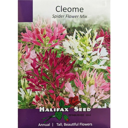 Halifax Seed Cleome Spider Flower Mix Pkg.