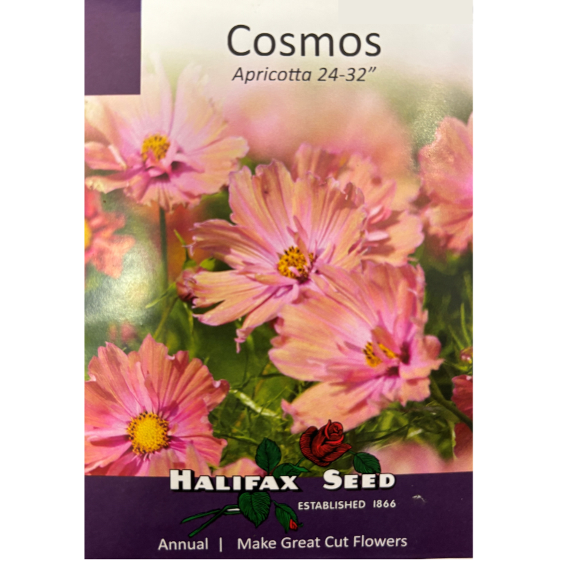 Halifax Seed Cosmos Apricotta Pkg.