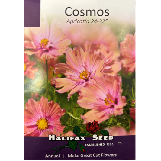 Halifax Seed Cosmos Apricotta Pkg.