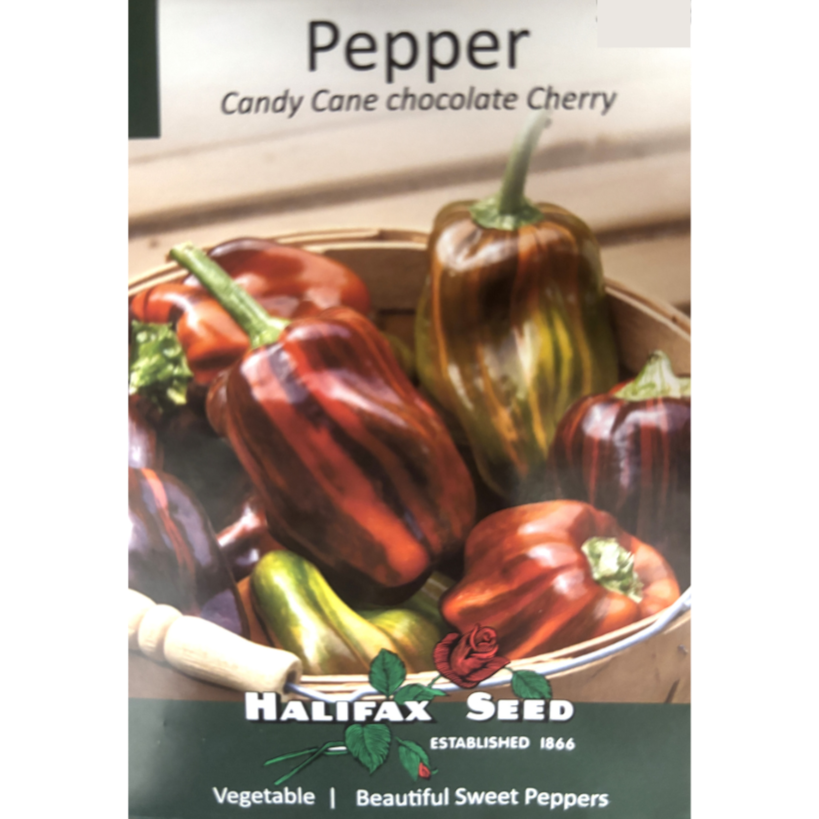 Halifax Seed Pepper Candy Cane Chocolate Cherry Pkg.