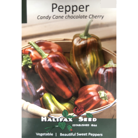 Halifax Seed Pepper Candy Cane Chocolate Cherry Pkg.