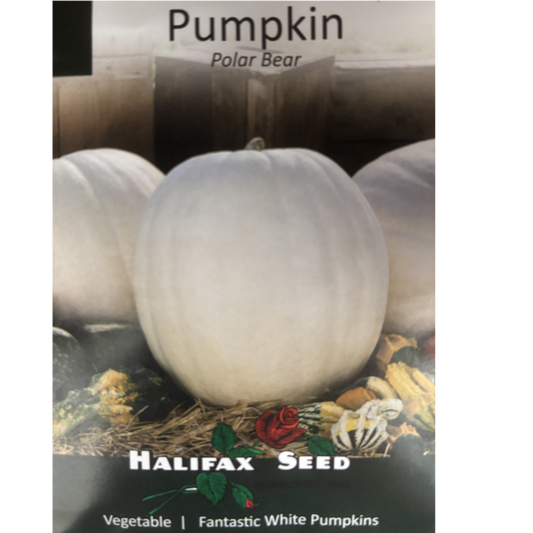 Halifax Seed Pumpkin Polar Bear Pkg.