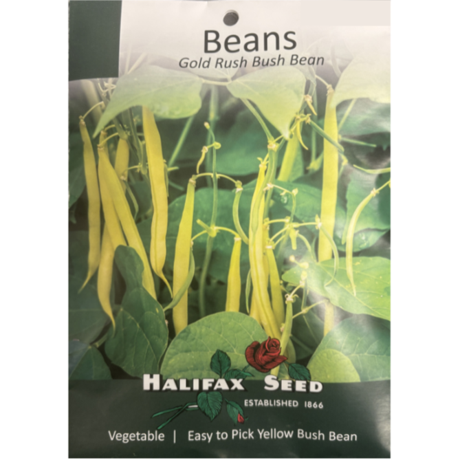 Halifax Seed Bean Gold Rush