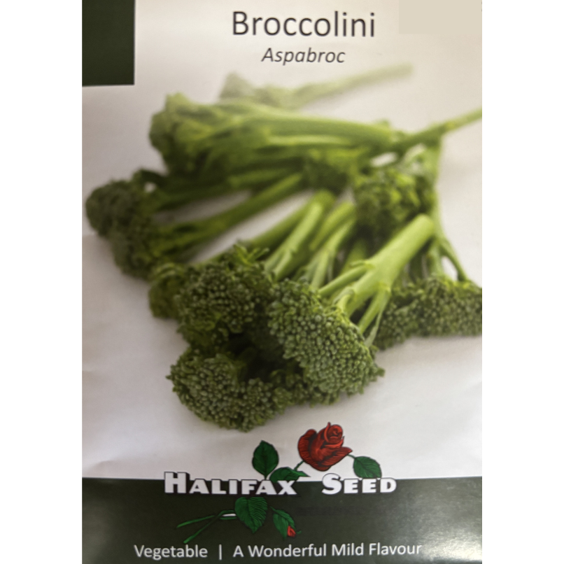 Halifax Seed Broccolini Aspabroc Pkg.