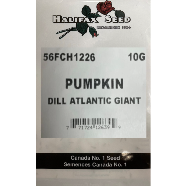 Halifax Seed Bulk Pumpkin Dill Atlantic Giant 10g