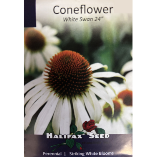 Halifax Seed Coneflower White Swan Pkg.