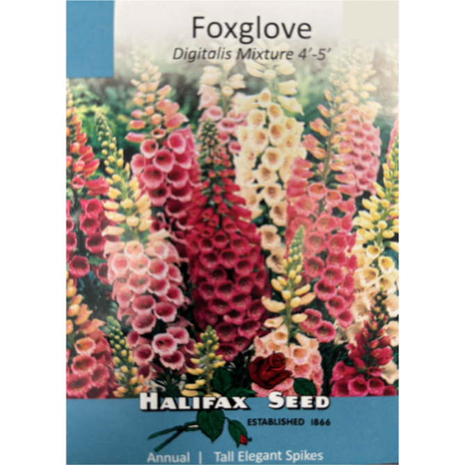 Halifax Seed Foxglove Pkg.