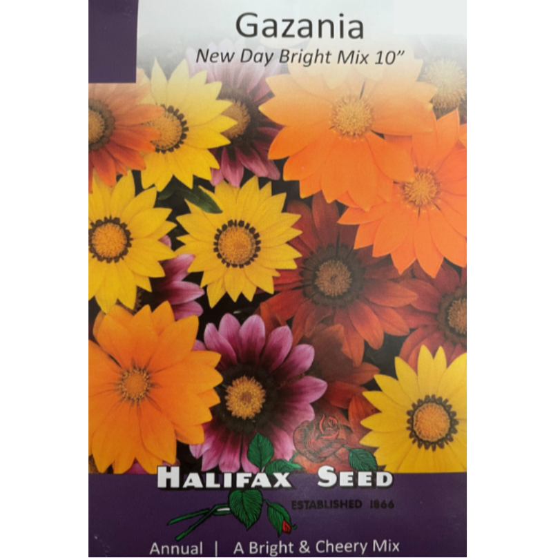 Halifax Seed Gazania New Day Bright Mix Pkg.