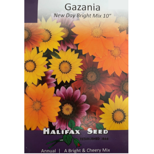 Halifax Seed Gazania New Day Bright Mix Pkg.