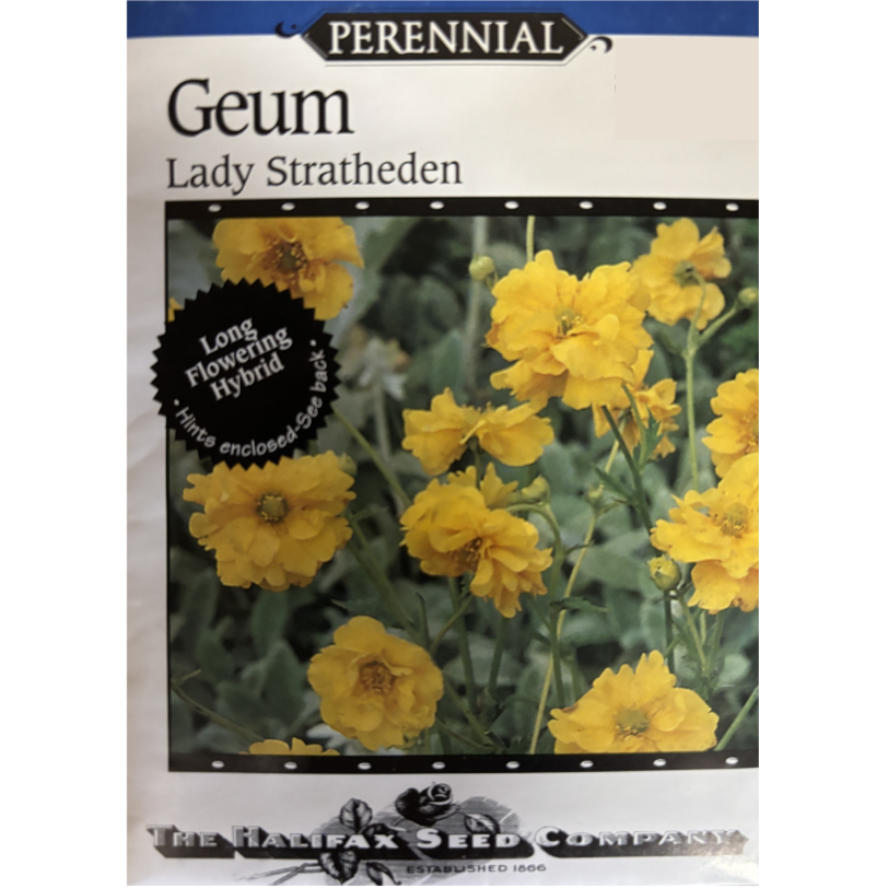 Halifax Seed Geum Lady Stratheden Pkg.