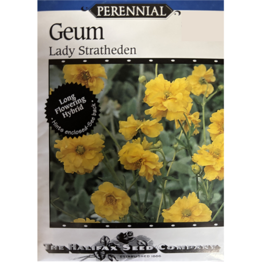 Halifax Seed Geum Lady Stratheden Pkg.