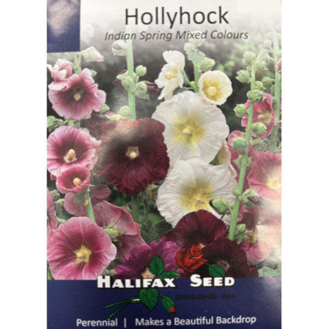 Halifax Seed Hollyhock Indian Spring Mixed Colours Pkg.