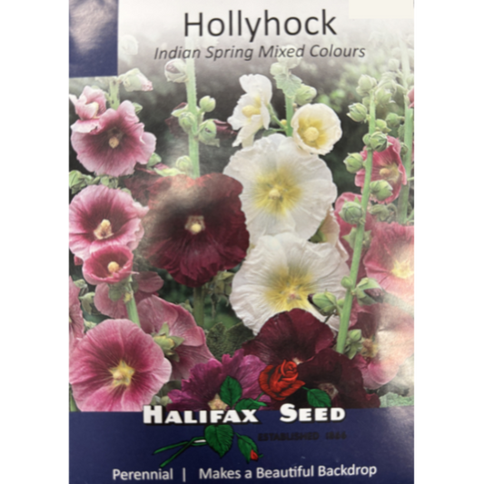 Halifax Seed Hollyhock Indian Spring Mixed Colours Pkg.