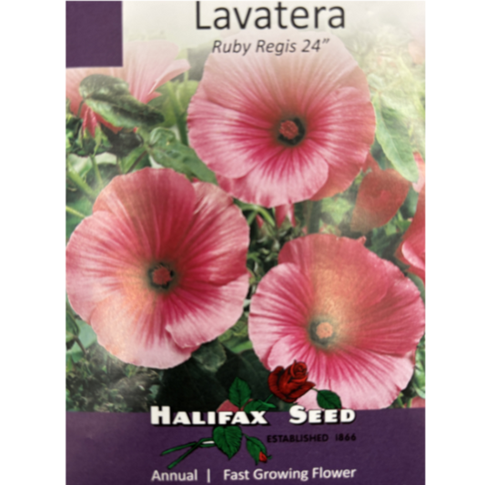 Halifax Seed Lavatera Ruby Regis Pkg.