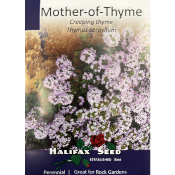 Halifax Seed Mother-of-Thyme Pkg.