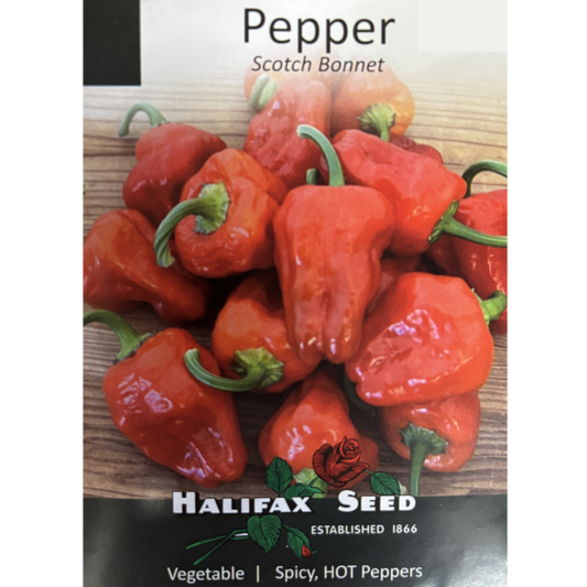 Halifax Seed Pepper Scotch Bonnet Pkg.