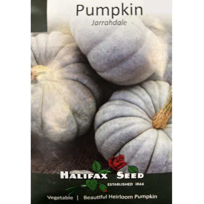 Halifax Seed Pumpkin Jarrahdale Pkg.