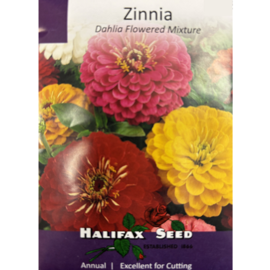 Halifax Seed Zinnia Dahlia Flowered Mixture Pkg.