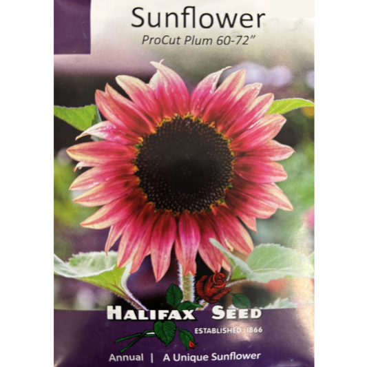 Halifax Seed Sunflower ProCut Plum 60-72"