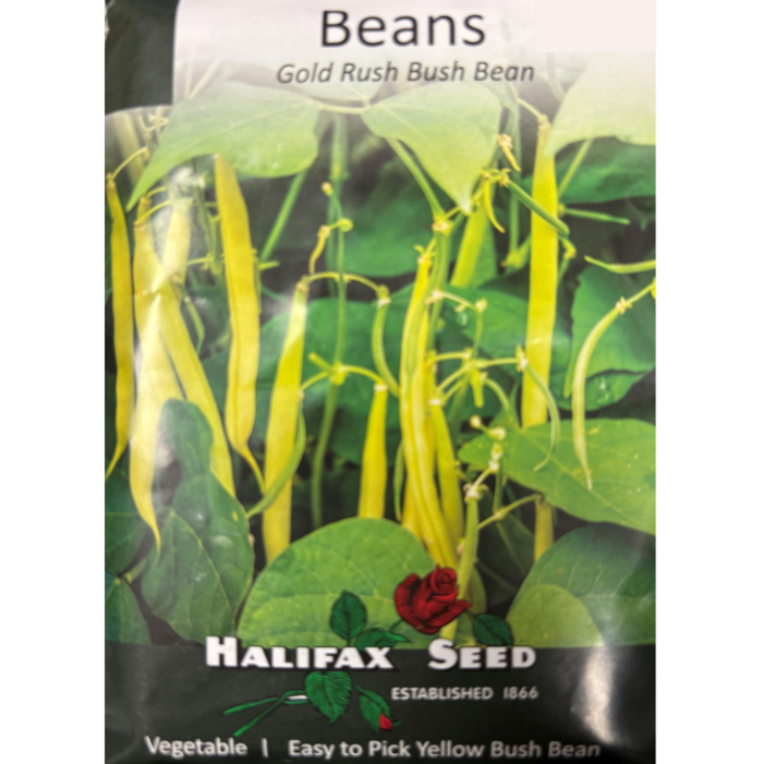 Halifax Seed Bean Gold Rush