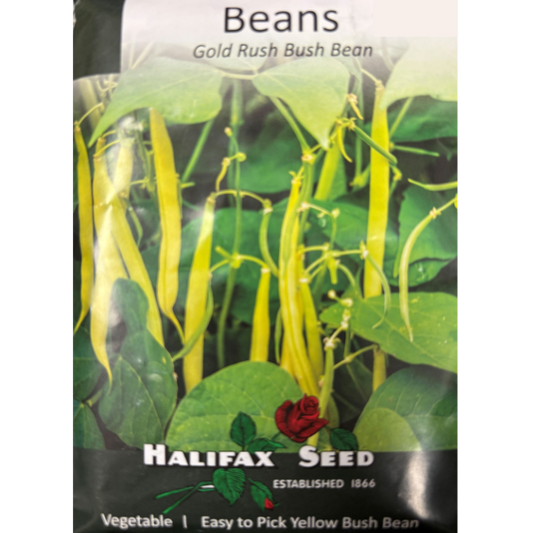 Halifax Seed Bean Gold Rush