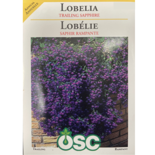 OSC Seeds Lobelia Trailing Sapphire Pkg.