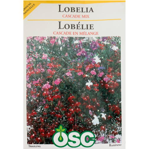 OSC Seeds Lobelia Cascade Mix Pkg.