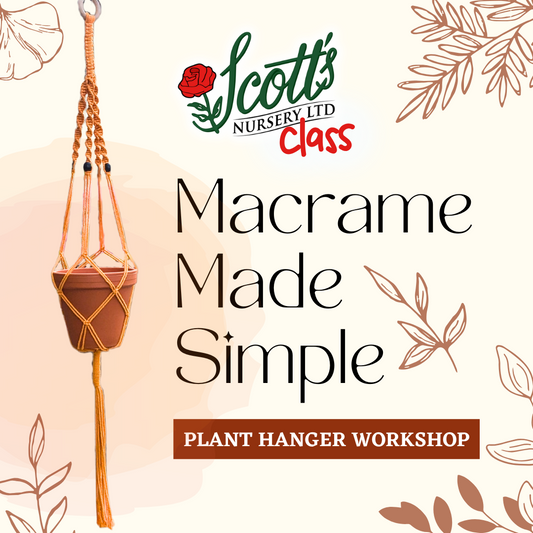 Macrame Made Simple: Plant Hanger Workshop