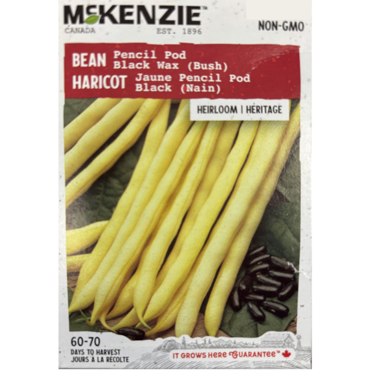 McKenzie Seed Bean Pencil Pod Black Wax Bush Pkg.