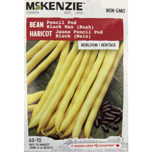 McKenzie Seed Bean Pencil Pod Black Wax Bush Pkg.