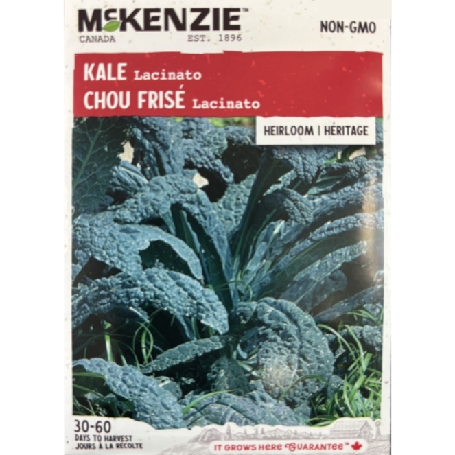 McKenzie Seed Kale Lacinato Pkg.