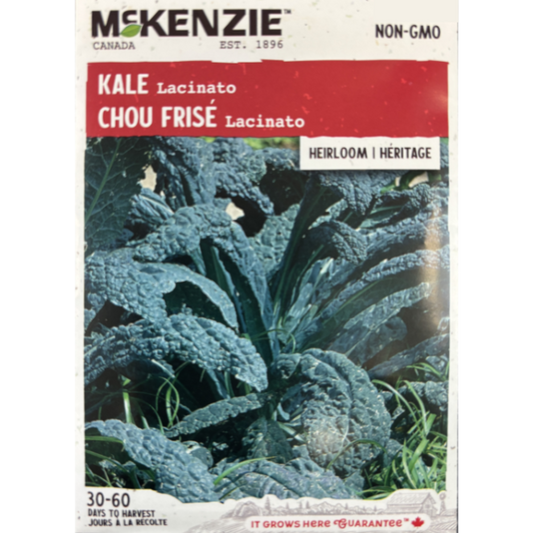 McKenzie Seed Kale Lacinato Pkg.