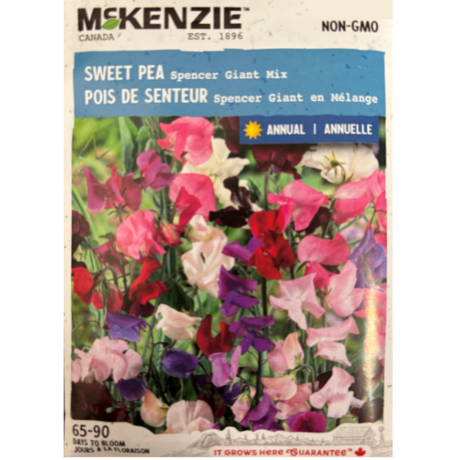 McKenzie Seed Sweet Pea Spencer Giant Mix Pkg