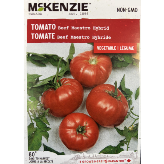 McKenzie Seed Tomato Beef Maestro Hybrid Pkg.