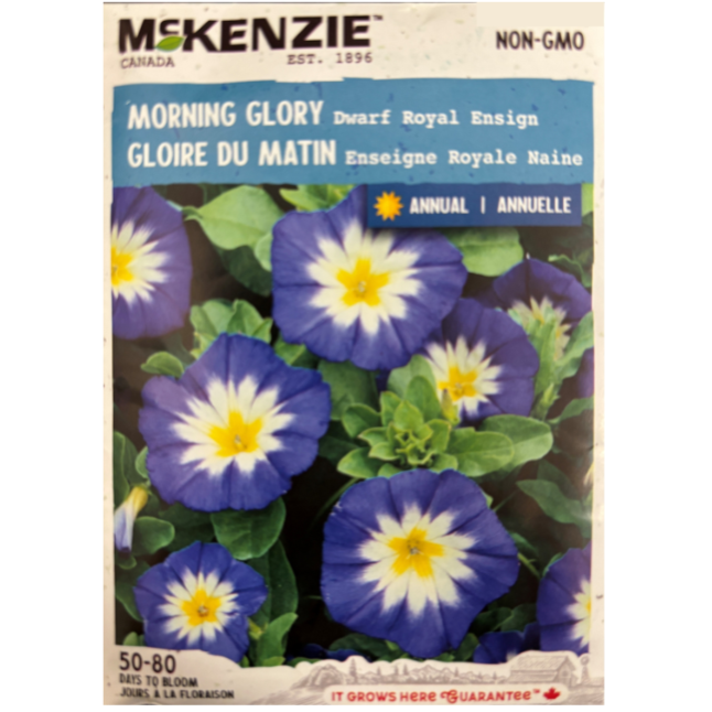 McKenzie Seed Morning Glory Dwarf Royal Ensign Pkg.