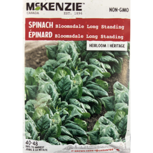 McKenzie Seed Spinach Long Standing Bloomsdale Pkg.