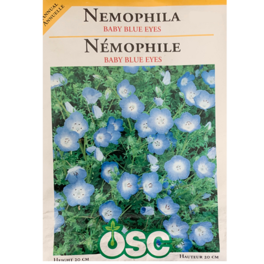 OSC Seeds Nemophila Baby Blue Eyes Pkg.